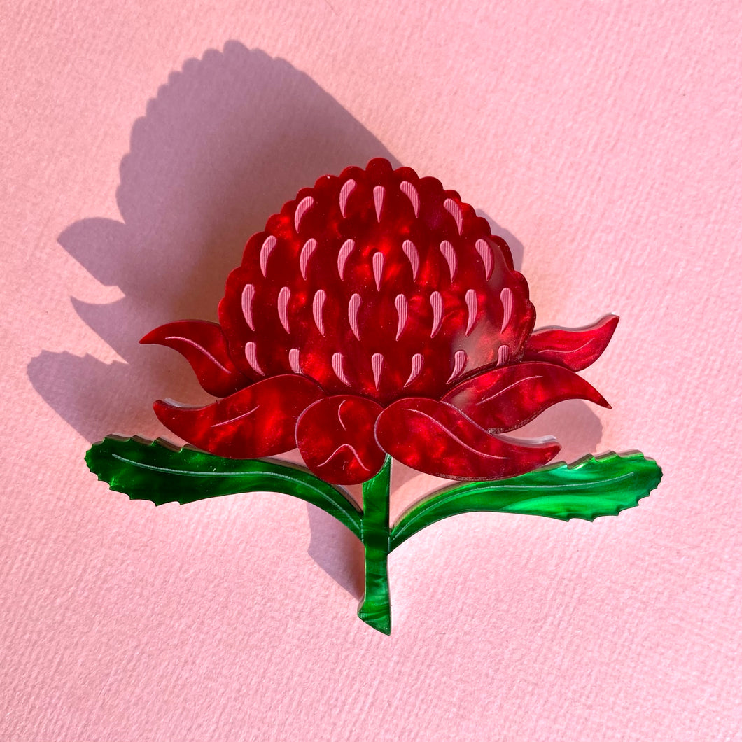 Waratah Brooch